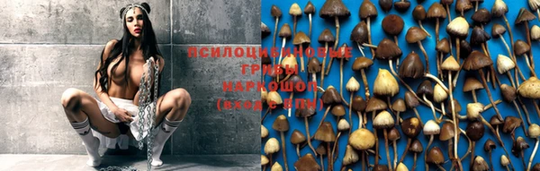 метадон Алексин