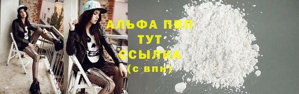 дмт Алзамай